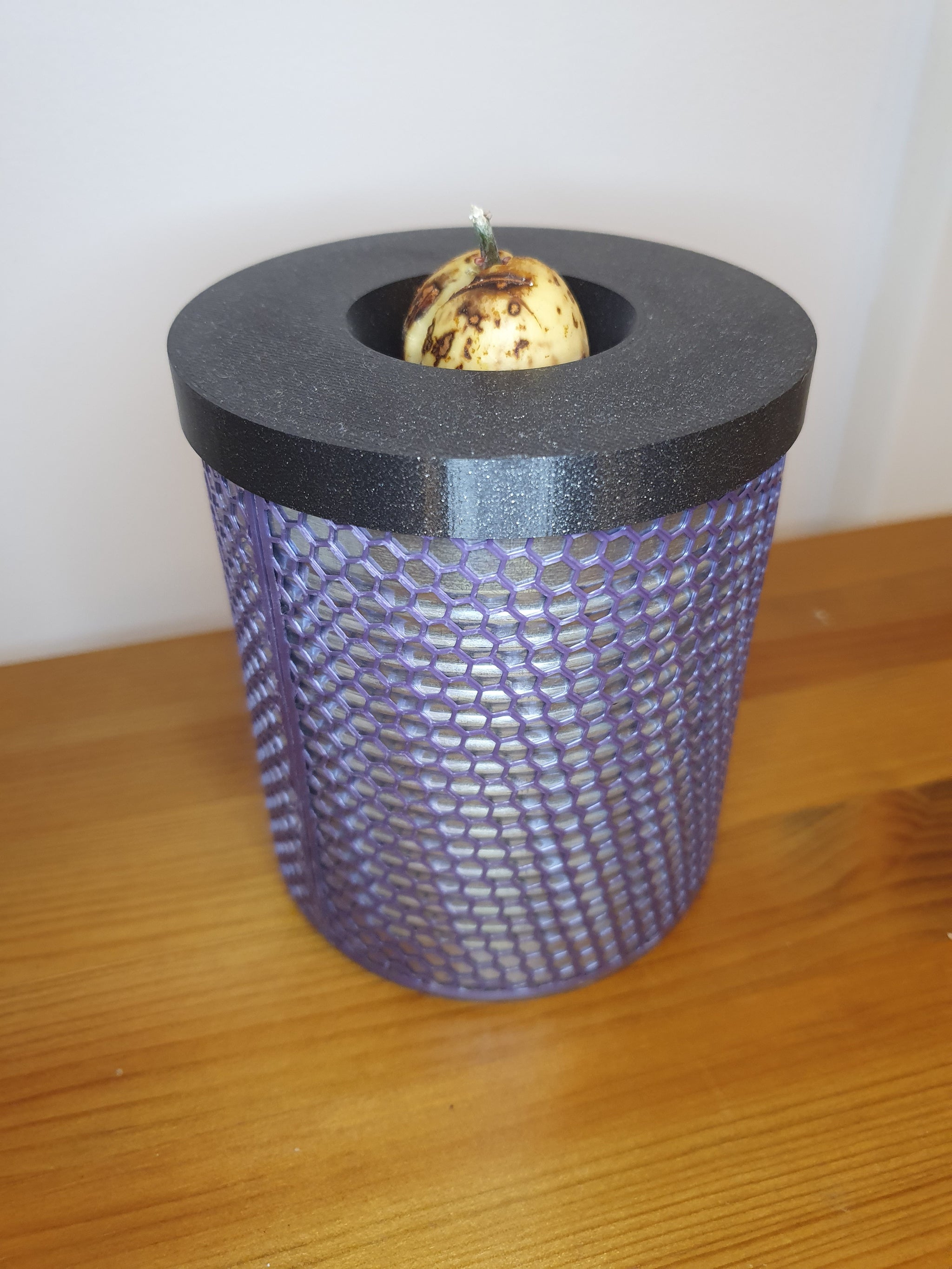 Avocado Seed Vase Lid for Large Food Cans