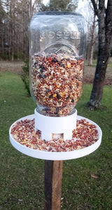 Mason Jar Bird Feeder Attachment – Ready to Use