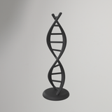 Double Helix DNA Model – No Supports Required