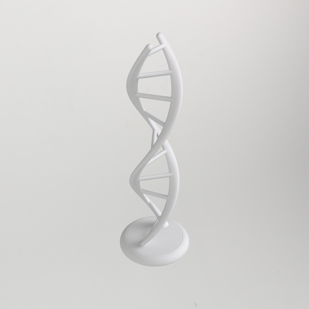 Double Helix DNA Model – No Supports Required