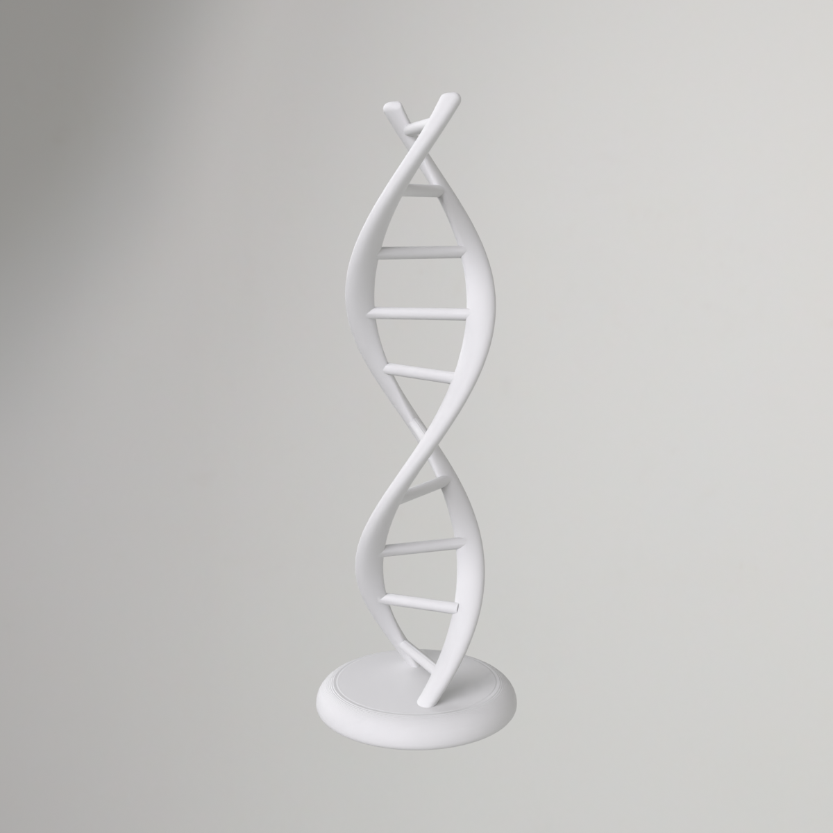 Double Helix DNA Model – No Supports Required