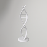 Double Helix DNA Model – No Supports Required
