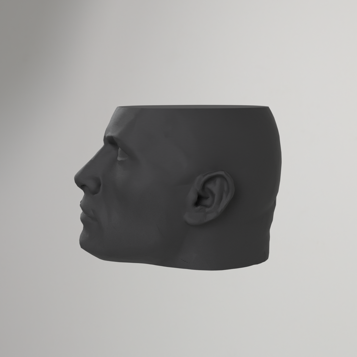The Rock Vase – Dwayne Johnson Vase Mode Print