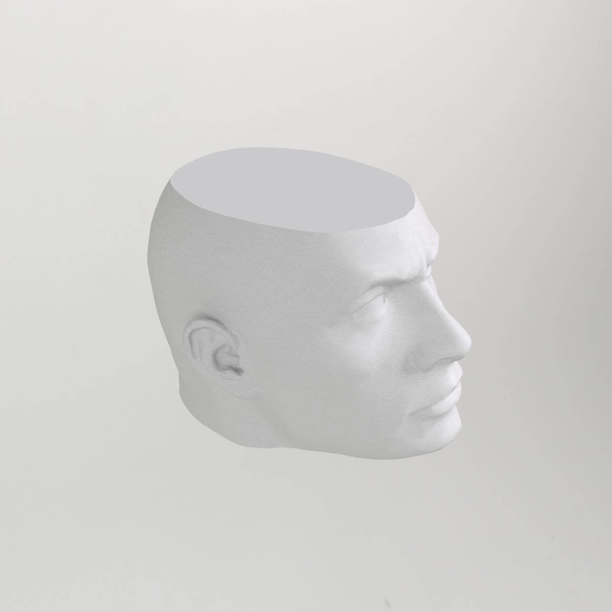 The Rock Vase – Dwayne Johnson Vase Mode Print