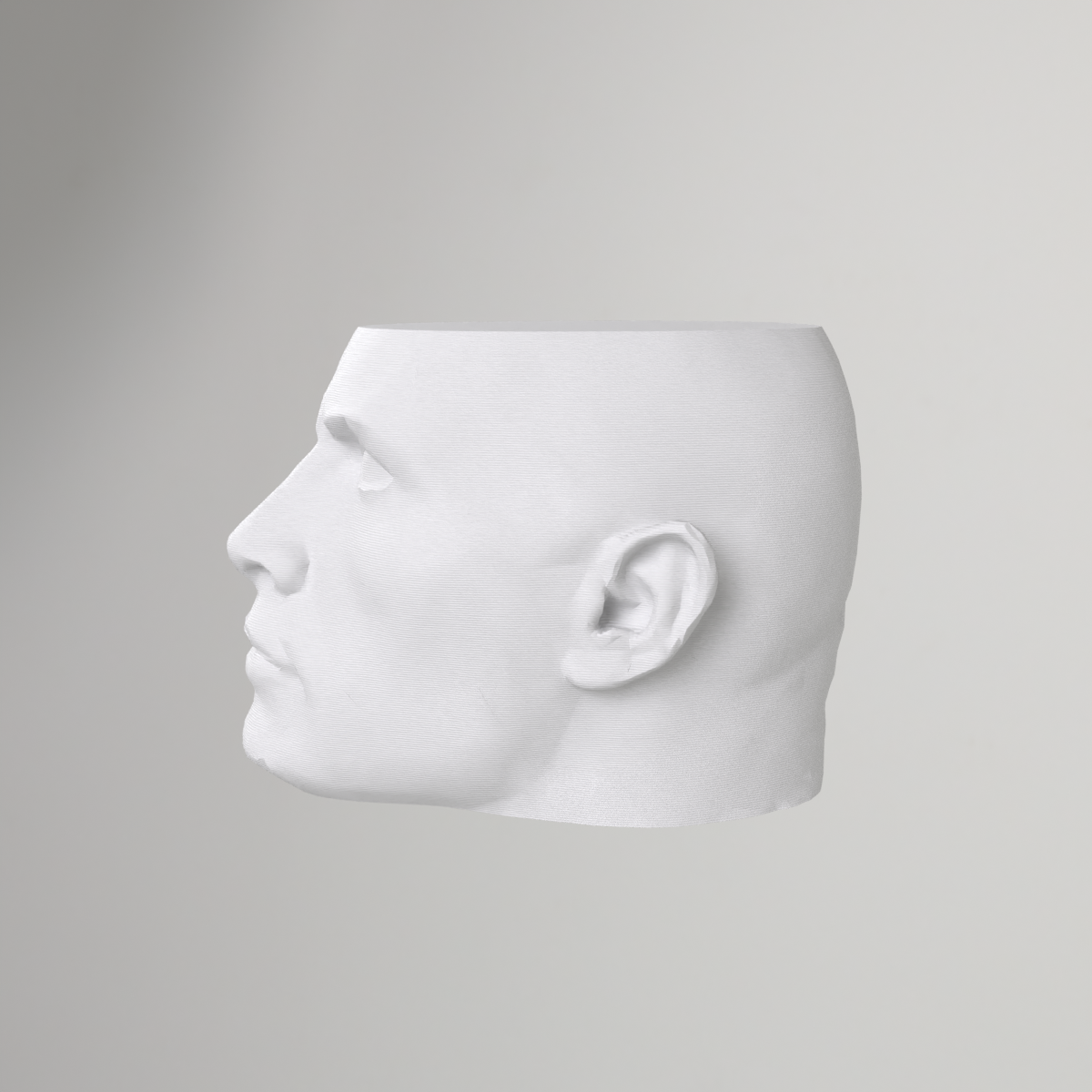 The Rock Vase – Dwayne Johnson Vase Mode Print