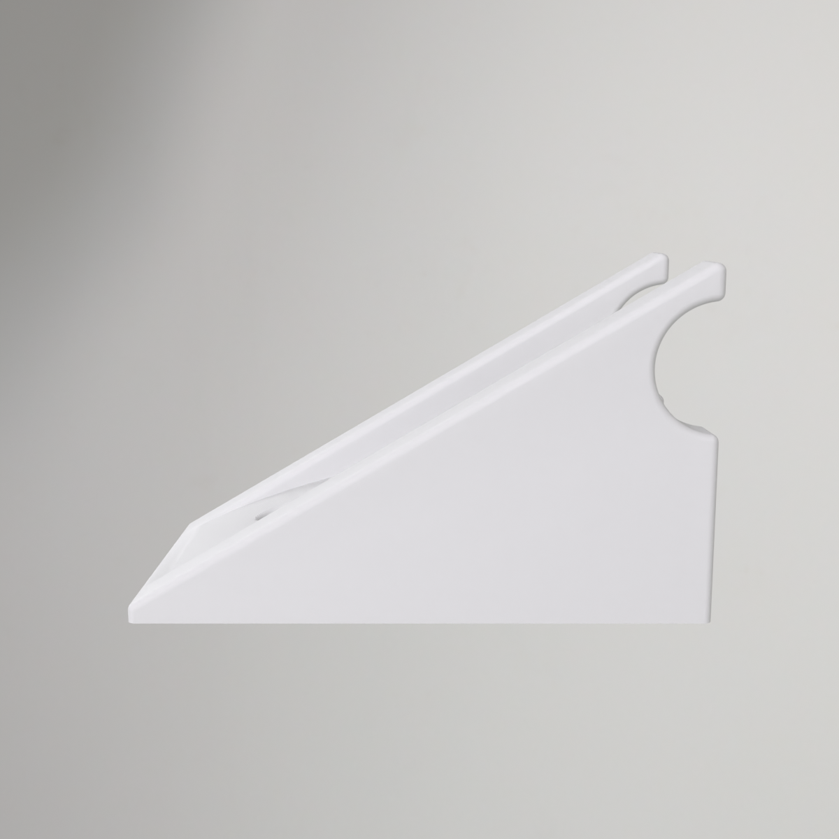 Ibis Ripmo AF Wall Mount – Large 2020