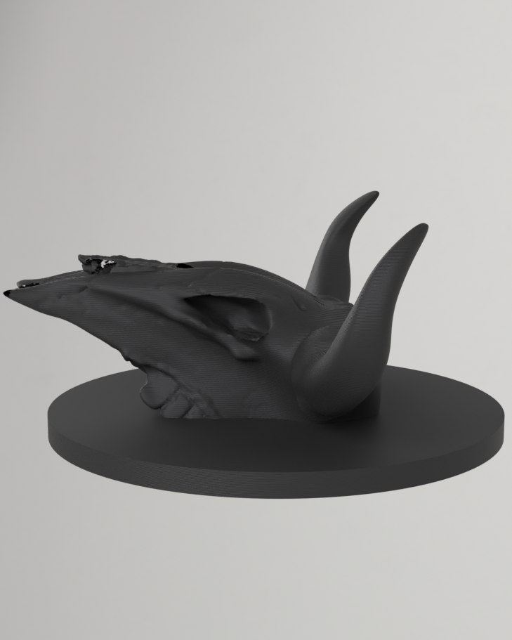 Bull Skull Wall Hook / Decorative Stand