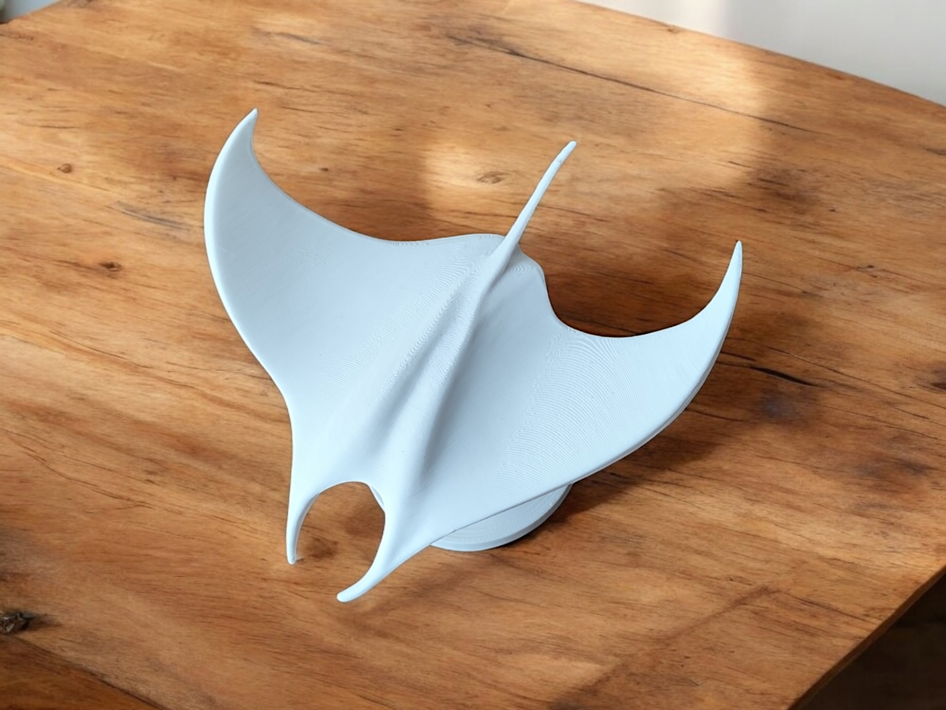 White manta ray sculpture viewed from above, wings spread in graceful formation