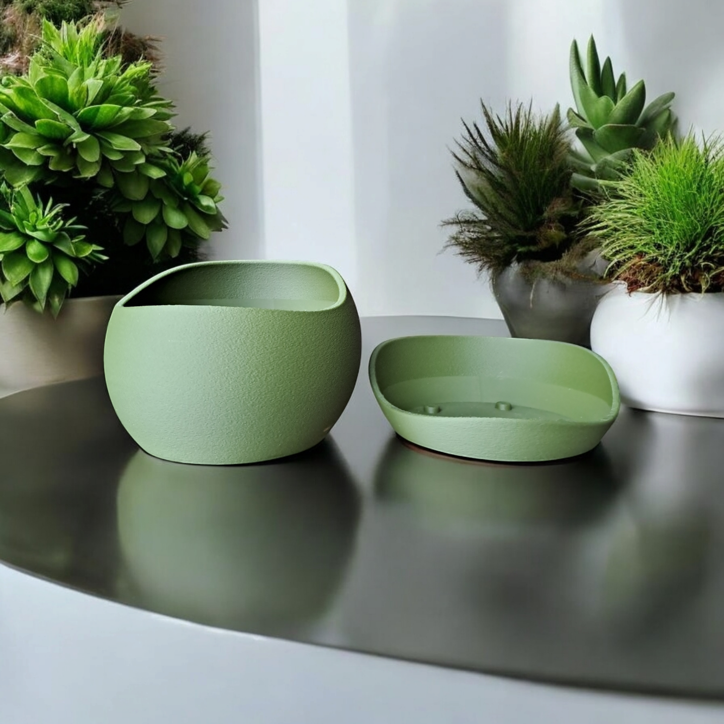 Shark skin plant pot with saucer styled on wooden shelf with succulent