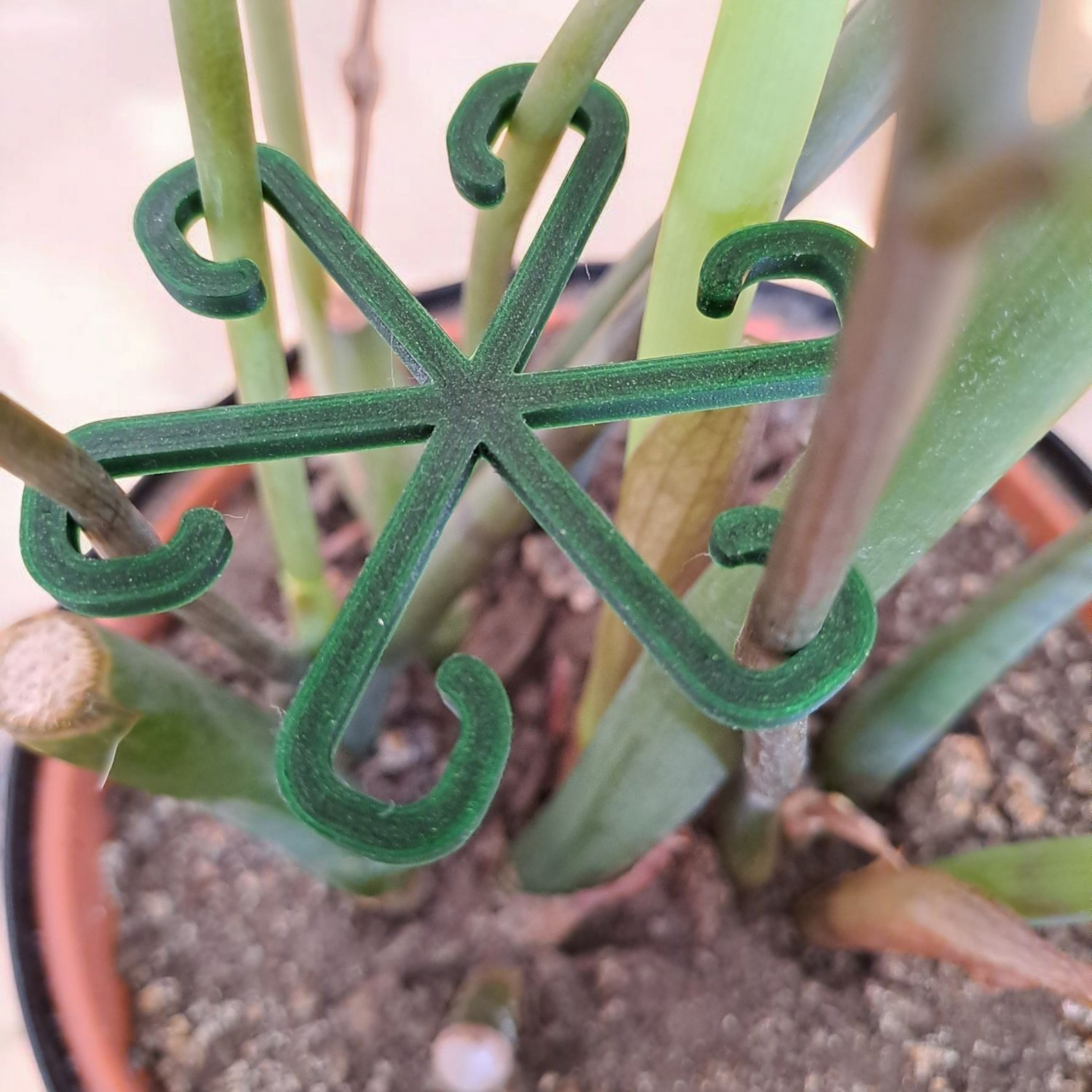 Detail of curved plant hook surface showing smooth, understated design