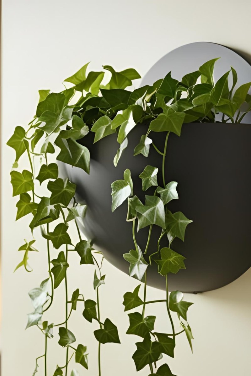 Close-up of spherical wall-mounted plant pot showing the smooth ball shape and opening
