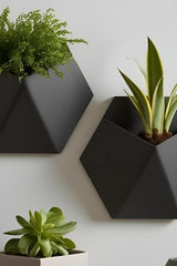 Close-up of minimalist stealth wall plant pot with succulent, side profile view