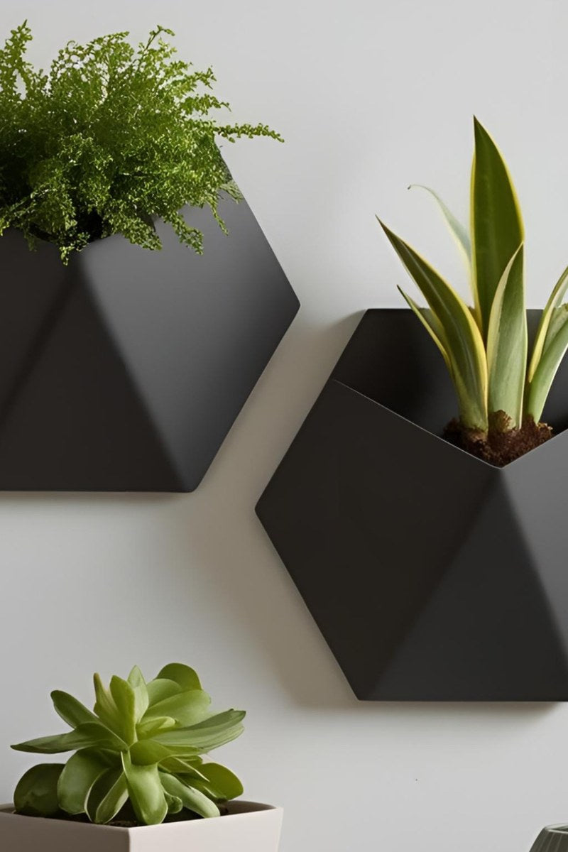 Close-up of minimalist stealth wall plant pot with succulent, side profile view
