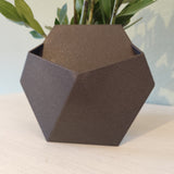 Stealth wall-mounted plant pot in white room setting with trailing plant
