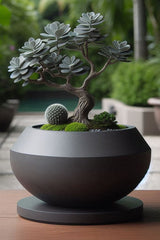 Close-up of modern bonsai pot showing clean rim and subtle curves