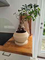 Detail of contemporary bonsai pot base and glazed surface finish