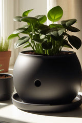Round self-watering plant pot shown from above, neutral finish with visible water chamber opening