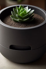Minimalist self watering succulent planter with geometric form, close-up view