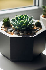 Close-up of octagonal succulent planter showing geometric form and smooth surface