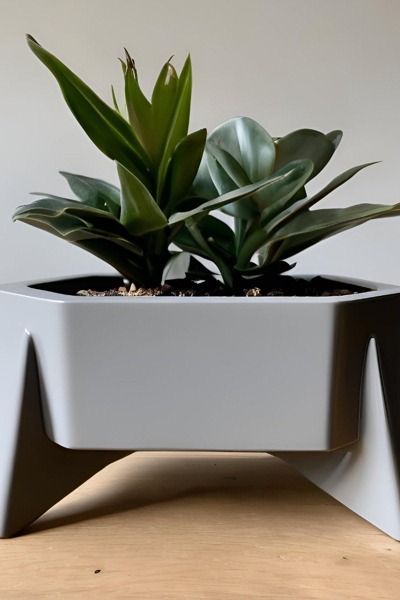 Hexagonal planter with geometric six-sided form, close-up view