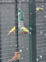 Bird Drinker with Perch & Bottle Holder for Garden Birds