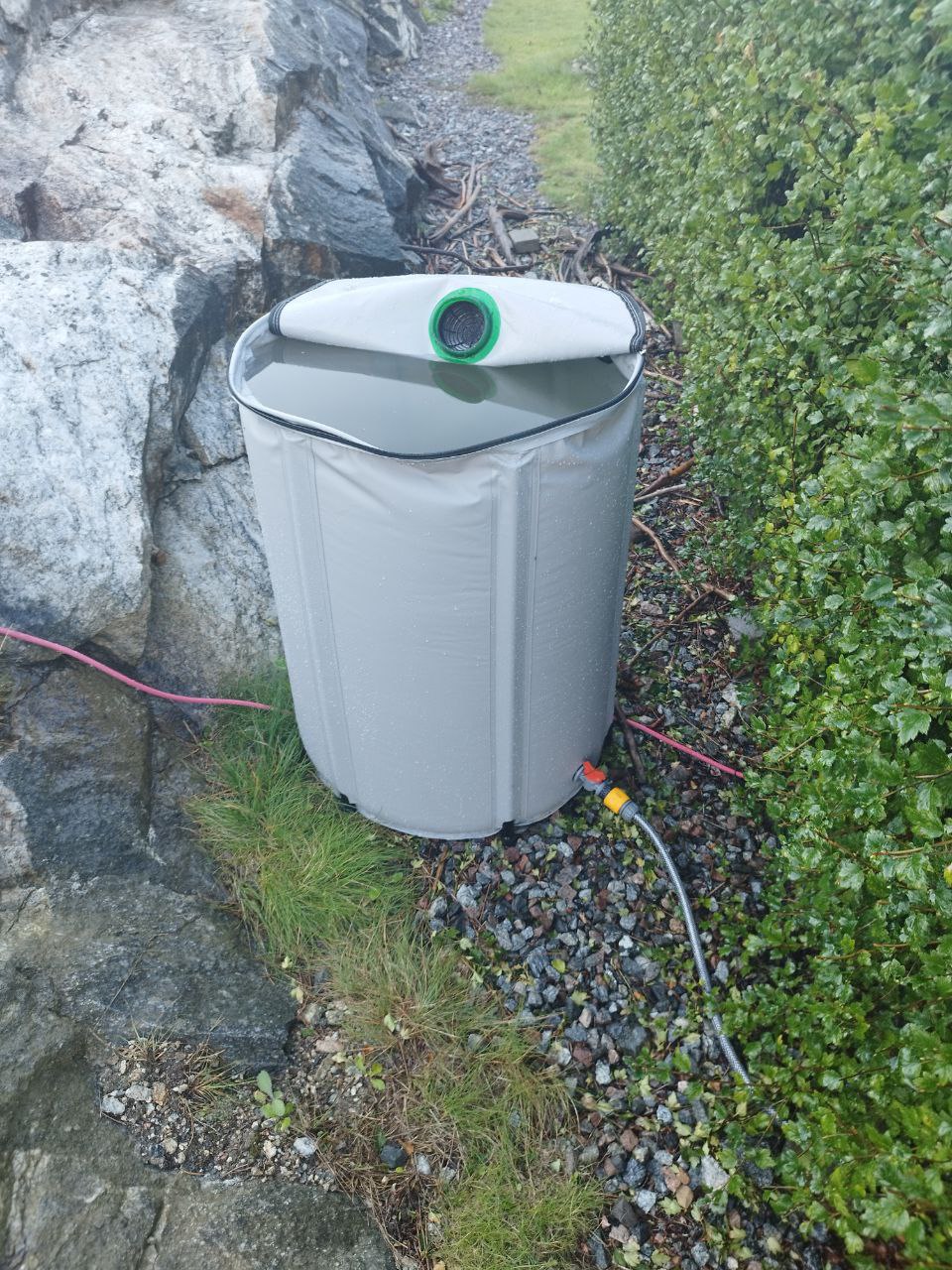 Rain Collector for Downpipe – Gravity Watering Adapter