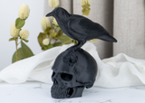Raven skull sculpture styled on a dark wooden shelf alongside candles and dried botanicals