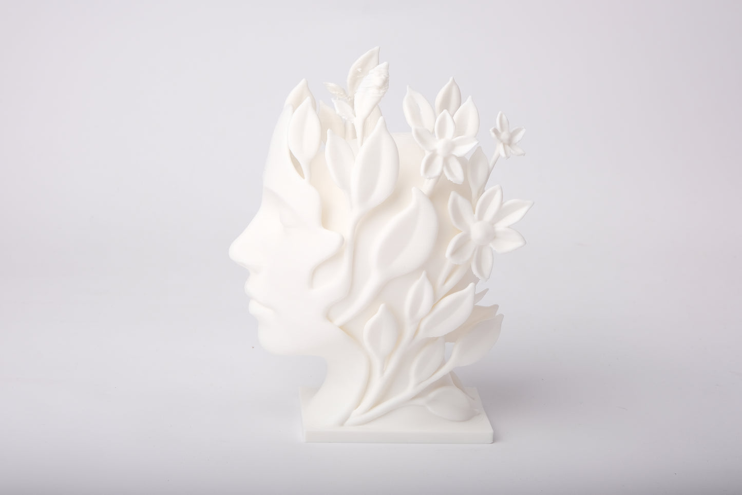 Nature Muse botanical face sculpture styled on a minimalist shelf with ceramics and dried stems