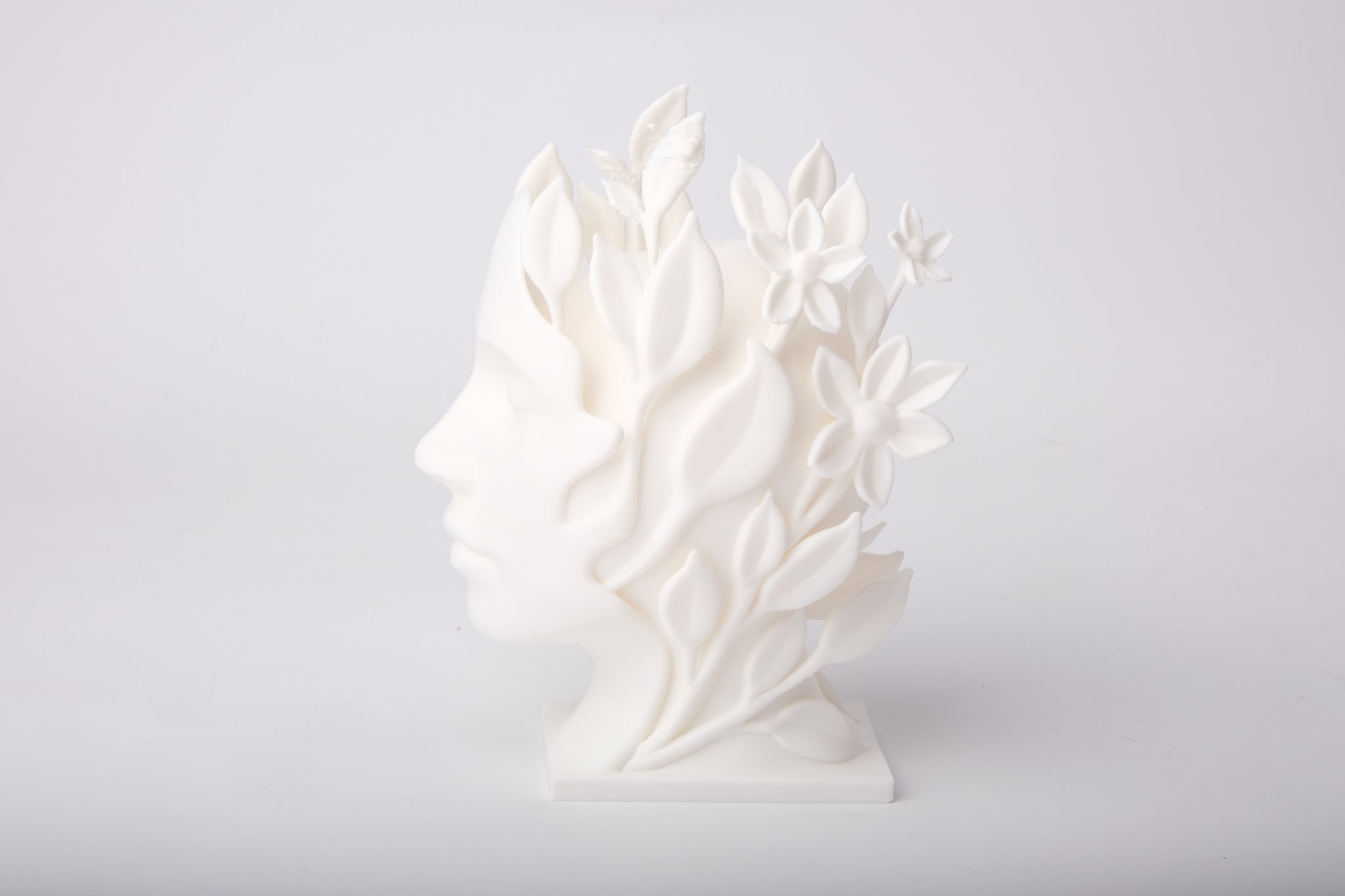 Nature Muse botanical face sculpture styled on a minimalist shelf with ceramics and dried stems