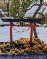 Inari Torii Bonsai Gate – 8 cm Miniature