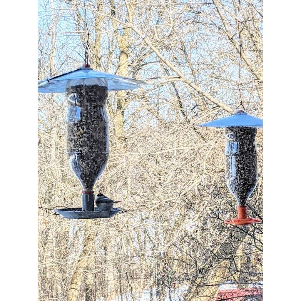 Soda Bottle Bird Feeder – Wide Base Garden Feeder
