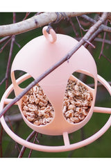 Bird Feeder with Drainage – Ready to Hang Outside