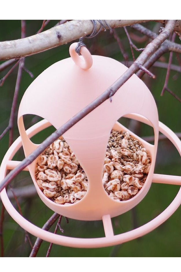 Bird Feeder with Drainage – Ready to Hang Outside