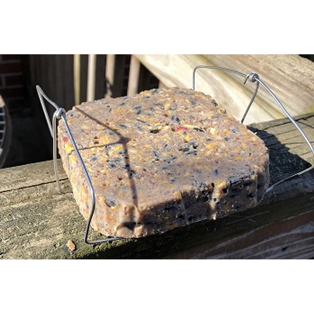 Upside-Down Suet Bird Feeder – Squirrel Resistant